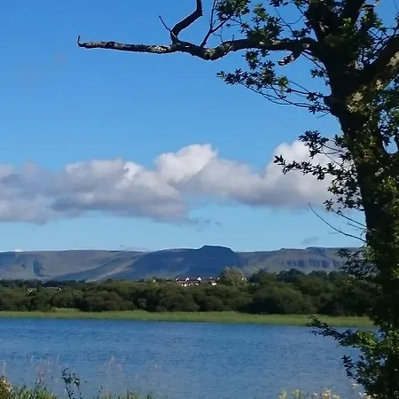 In The Woods * Ballintogher