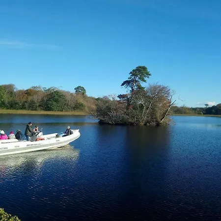 In The Woods * Ballintogher