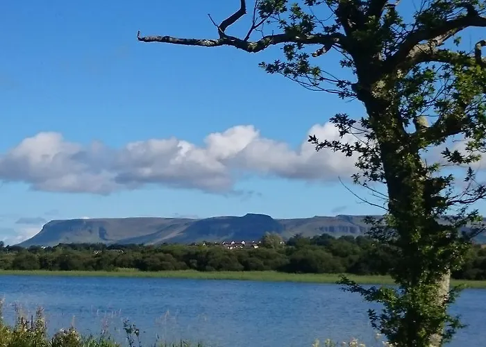 In The Woods * Ballintogher