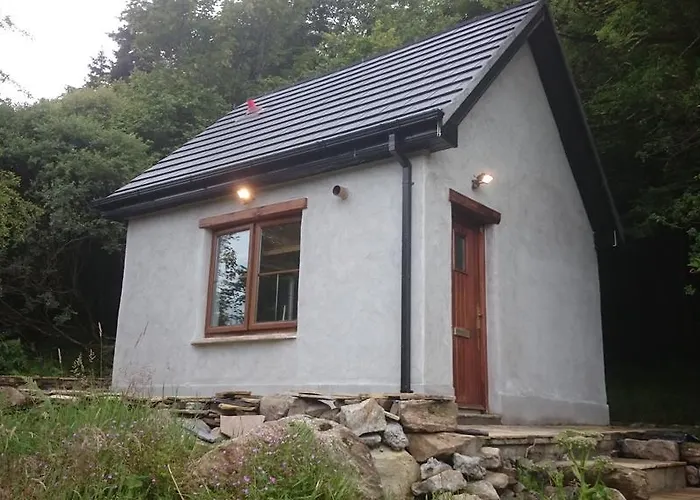 Daire In The Woods *