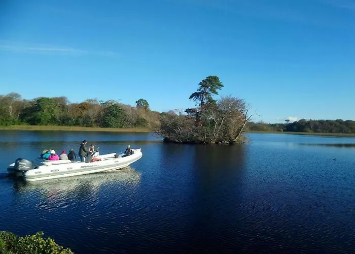 In The Woods * Ballintogher