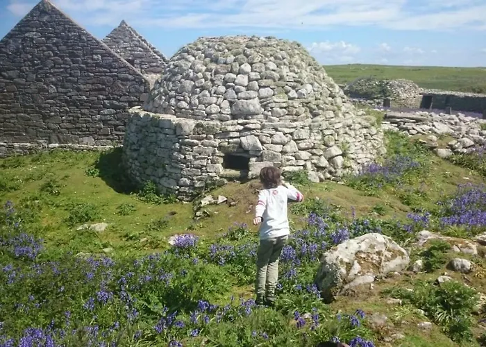 Lägenhet In The Woods Ballintogher