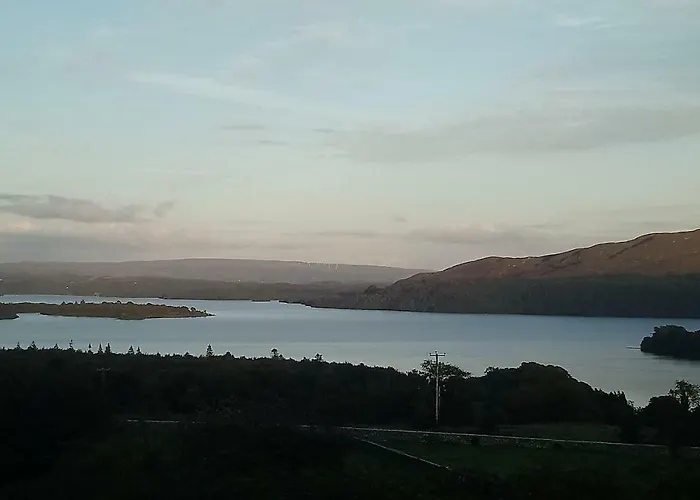 In The Woods * Ballintogher